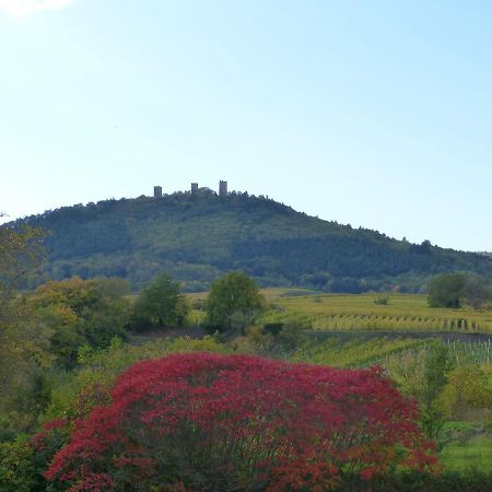 Le Petit Nid Appartement Eguisheim Buitenkant foto