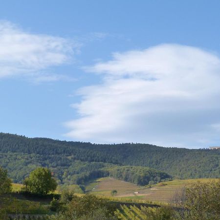 Le Petit Nid Appartement Eguisheim Buitenkant foto