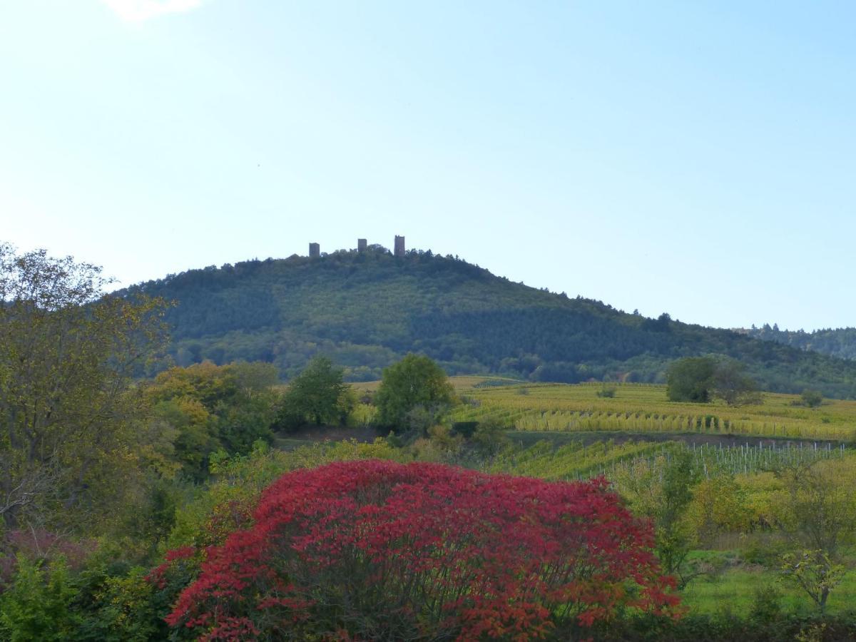 Le Petit Nid Appartement Eguisheim Buitenkant foto